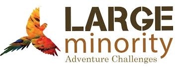 Large Minority Travel